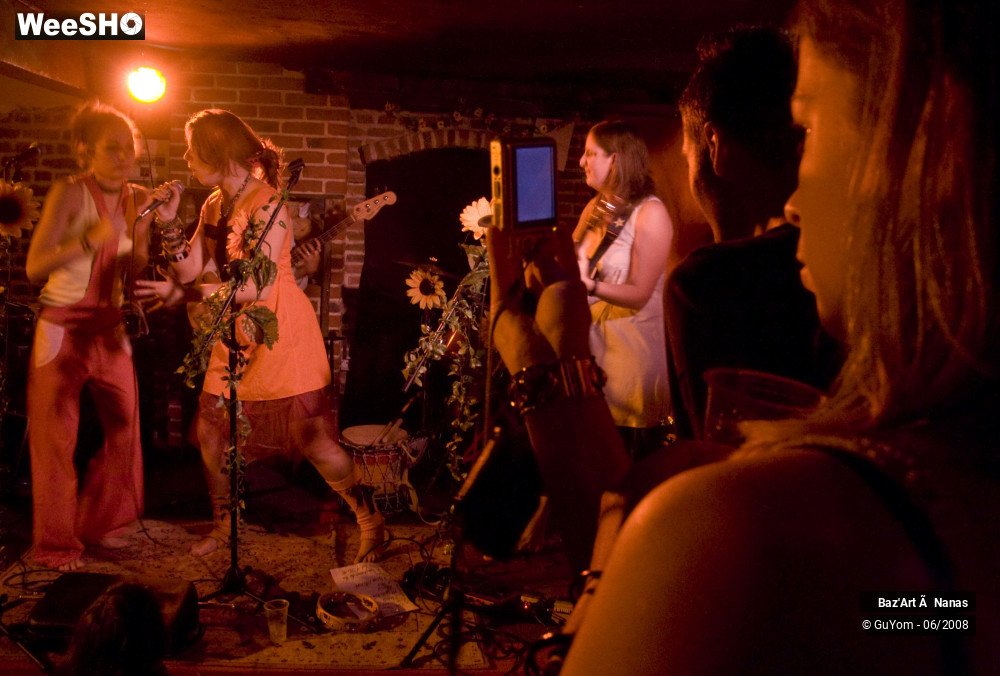 30/35 photos du spectacle Baz'Art à Nanas